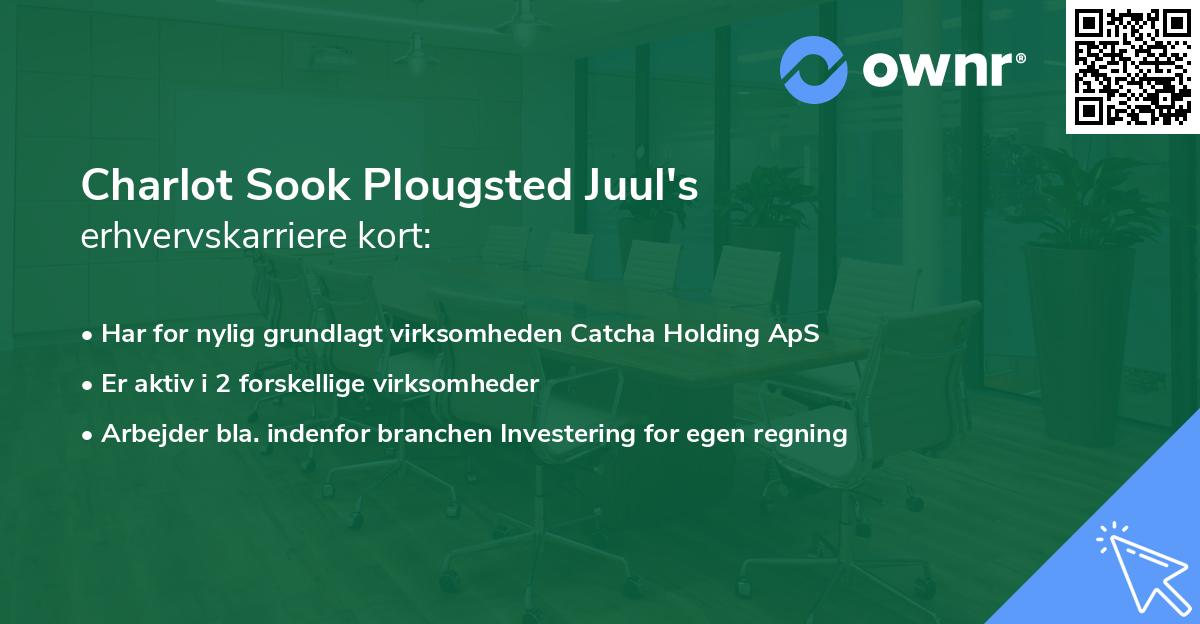 Charlot Sook Plougsted Juul's erhvervskarriere kort