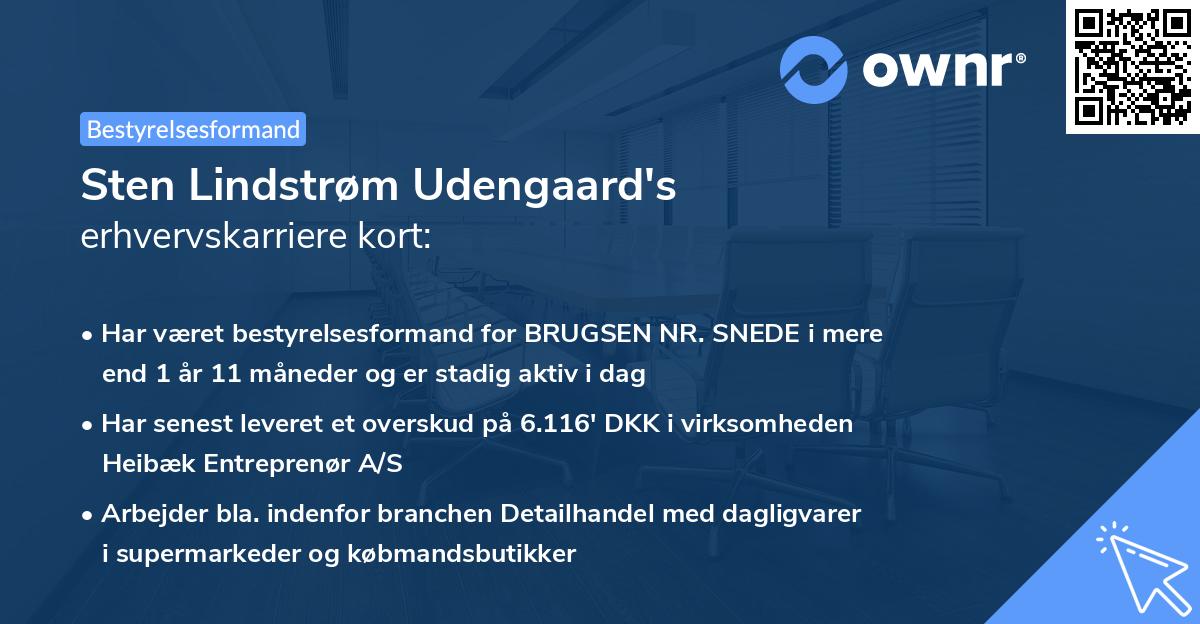 Sten Lindstrøm Udengaard's erhvervskarriere kort