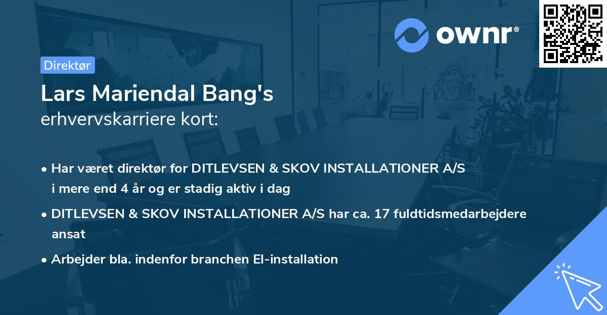 Lars Mariendal Bang's erhvervskarriere kort