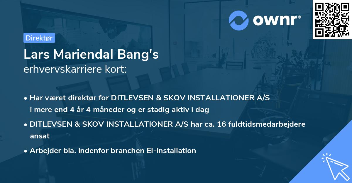 Lars Mariendal Bang's erhvervskarriere kort