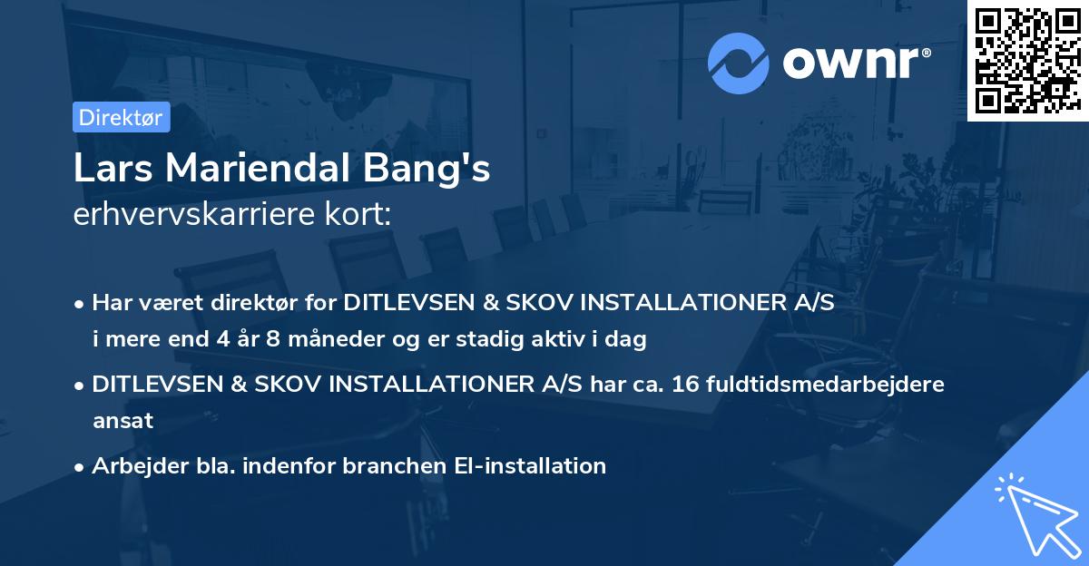 Lars Mariendal Bang's erhvervskarriere kort