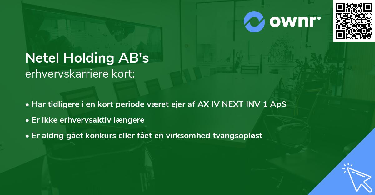 Netel Holding AB's erhvervskarriere kort