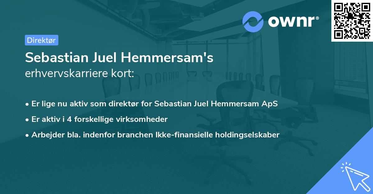 Sebastian Juel Hemmersam's erhvervskarriere kort