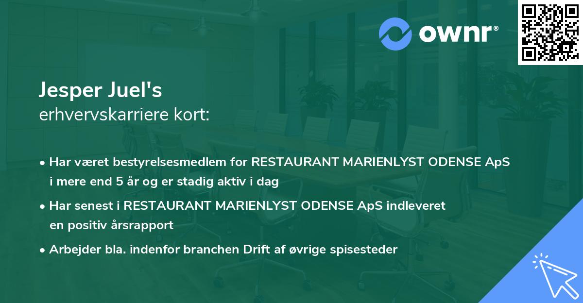 Jesper Juel's erhvervskarriere kort