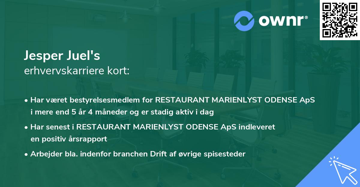 Jesper Juel's erhvervskarriere kort