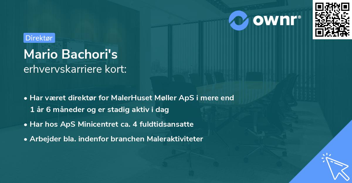 Mario Bachori's erhvervskarriere kort