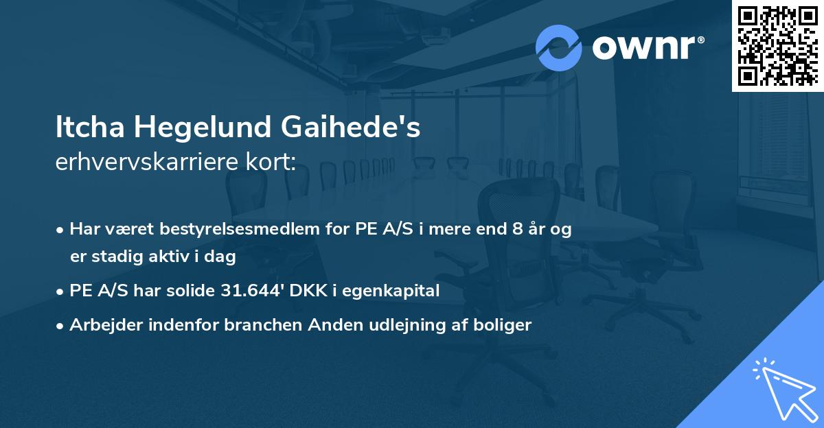 Itcha Hegelund Gaihede's erhvervskarriere kort