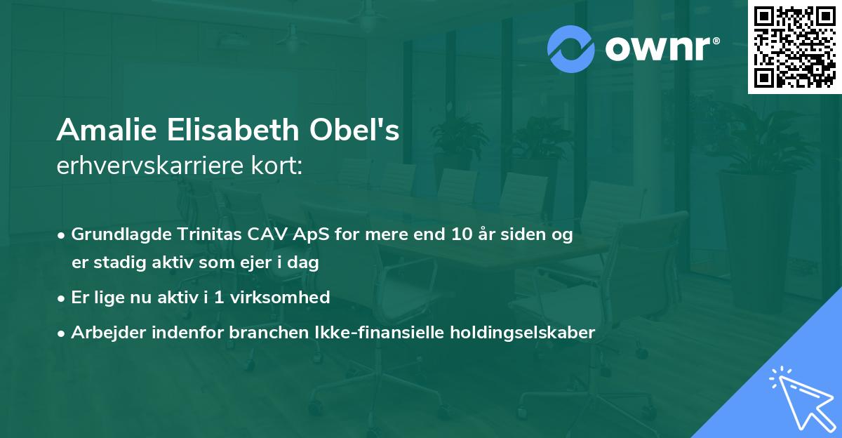 Amalie Elisabeth Obel's erhvervskarriere kort