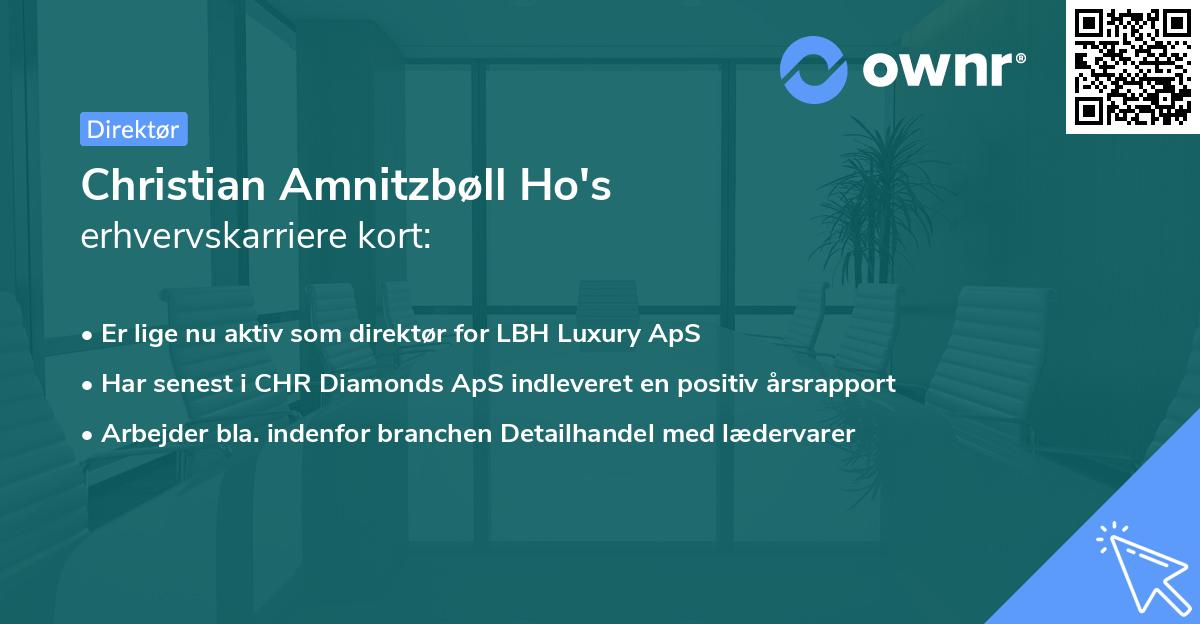 Christian Amnitzbøll Ho's erhvervskarriere kort