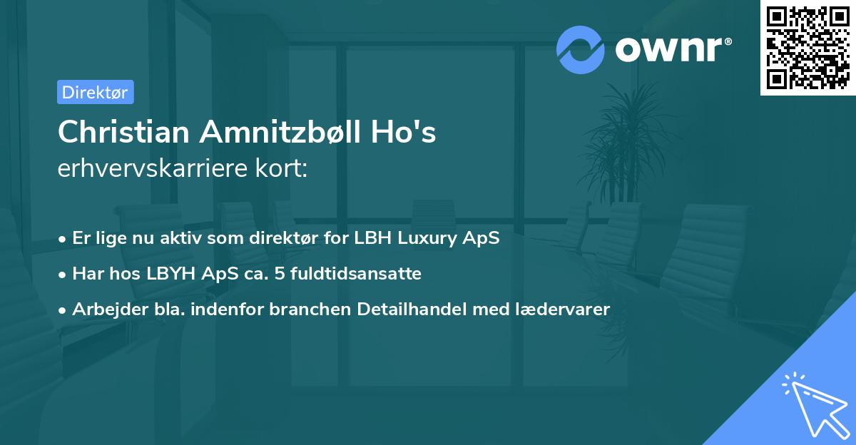 Christian Amnitzbøll Ho's erhvervskarriere kort