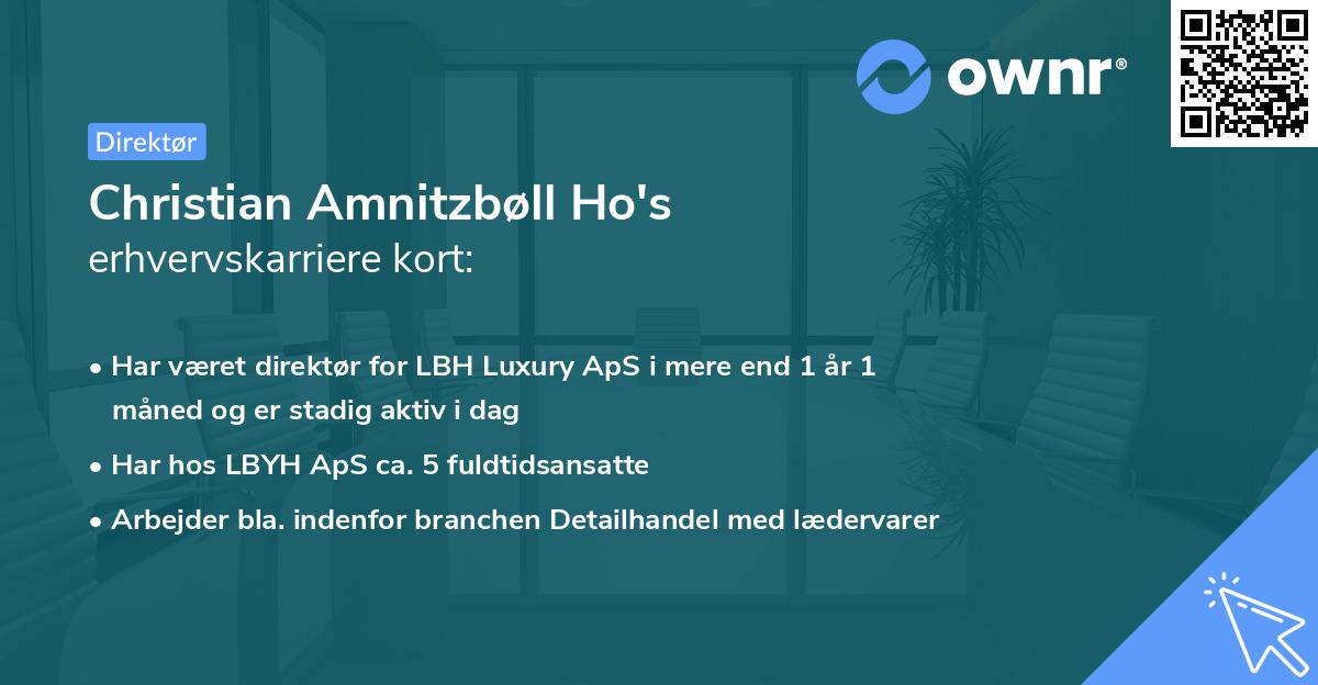 Christian Amnitzbøll Ho's erhvervskarriere kort