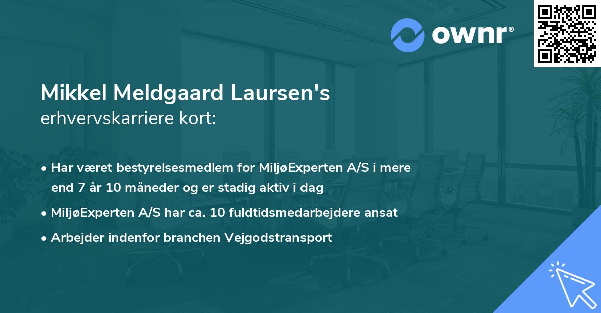 Mikkel Meldgaard Laursen's erhvervskarriere kort