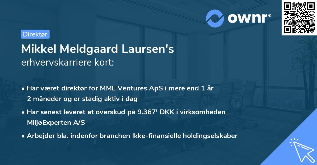 Mikkel Meldgaard Laursen's erhvervskarriere kort