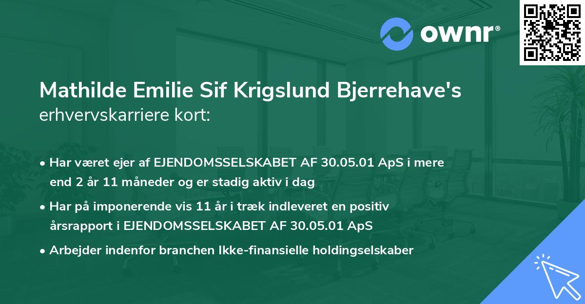 Mathilde Emilie Sif Krigslund Bjerrehave's erhvervskarriere kort