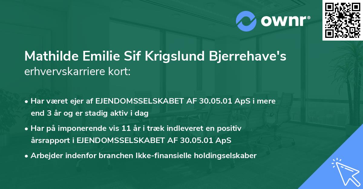 Mathilde Emilie Sif Krigslund Bjerrehave's erhvervskarriere kort