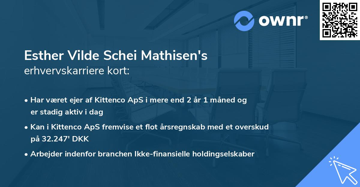 Esther Vilde Schei Mathisen's erhvervskarriere kort