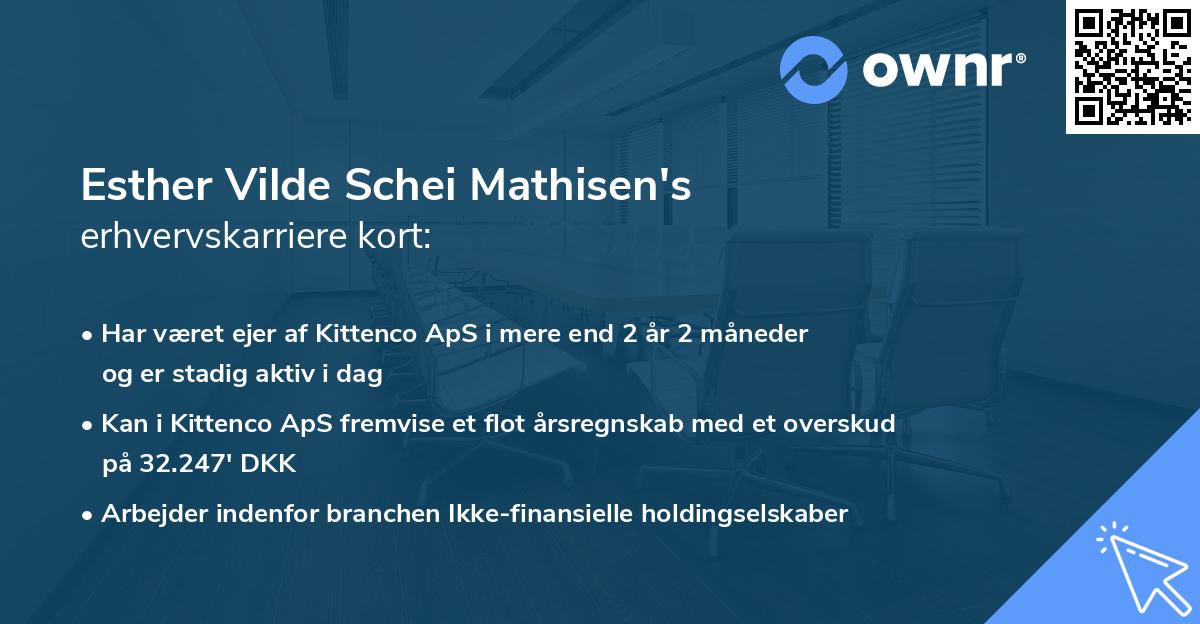 Esther Vilde Schei Mathisen's erhvervskarriere kort