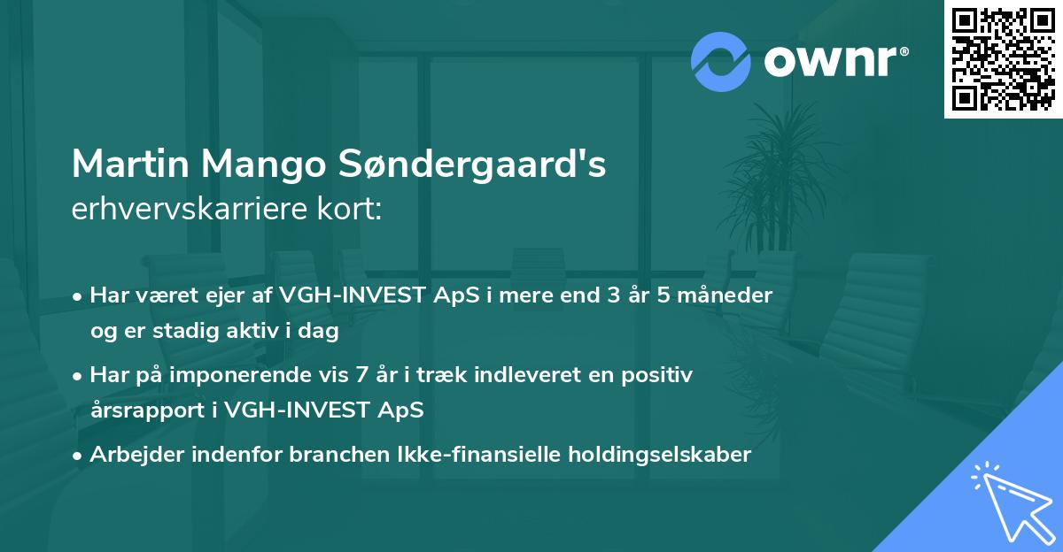 Martin Mango Søndergaard's erhvervskarriere kort