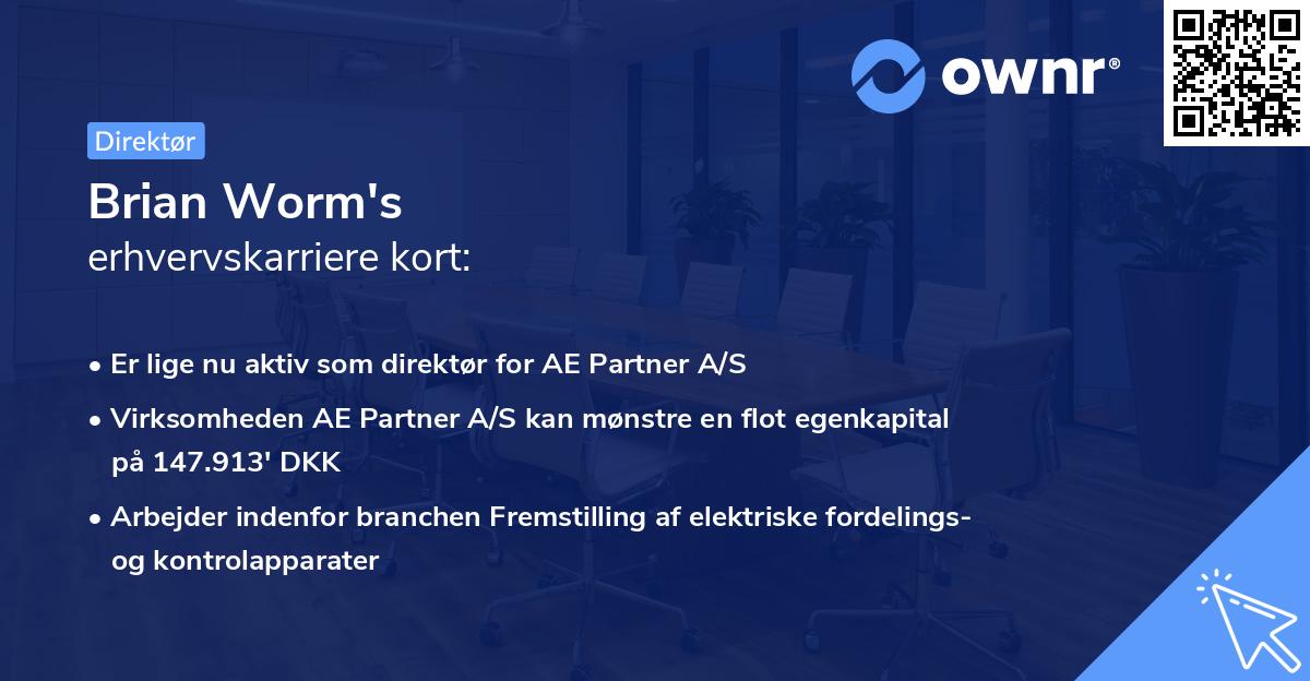 Brian Worm's erhvervskarriere kort