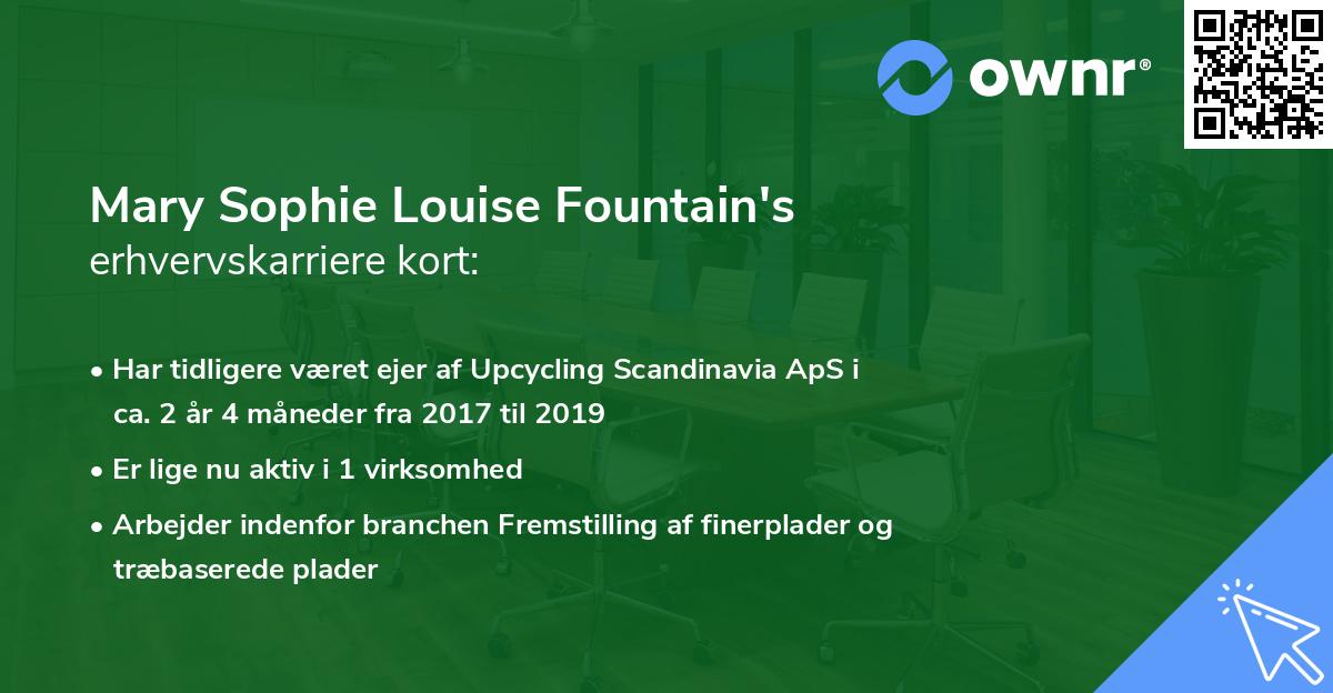 Mary Sophie Louise Fountain's erhvervskarriere kort