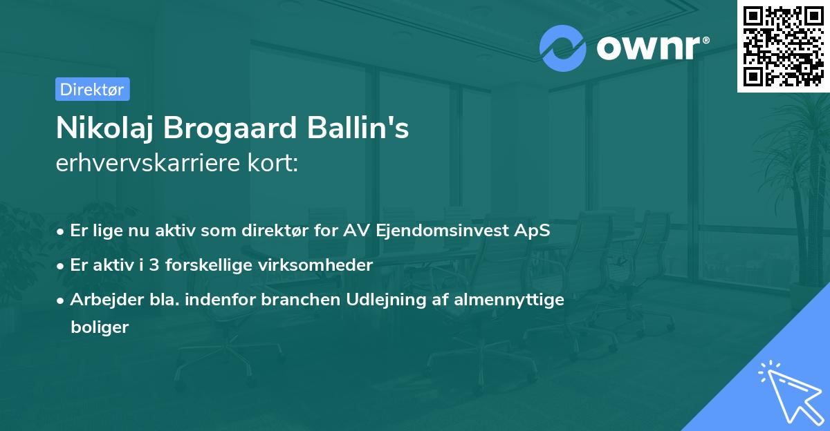 Nikolaj Brogaard Ballin's erhvervskarriere kort