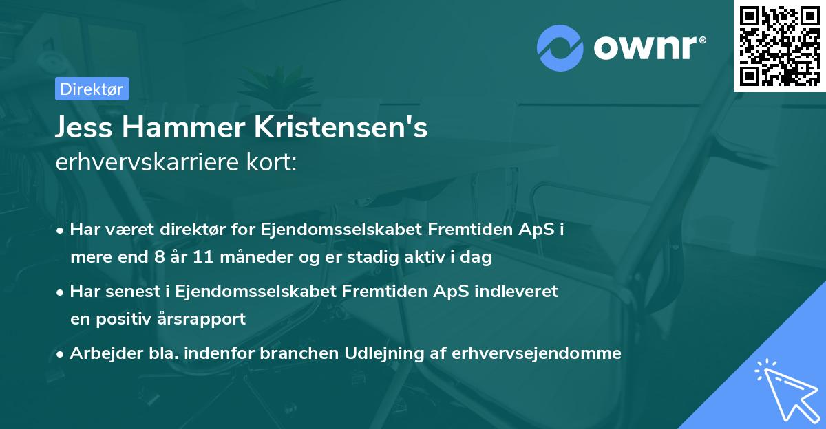 Jess Hammer Kristensen's erhvervskarriere kort