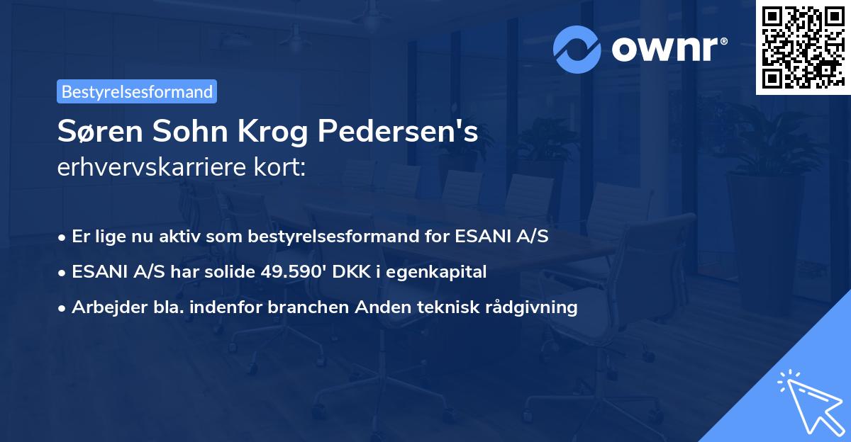Søren Sohn Krog Pedersen's erhvervskarriere kort