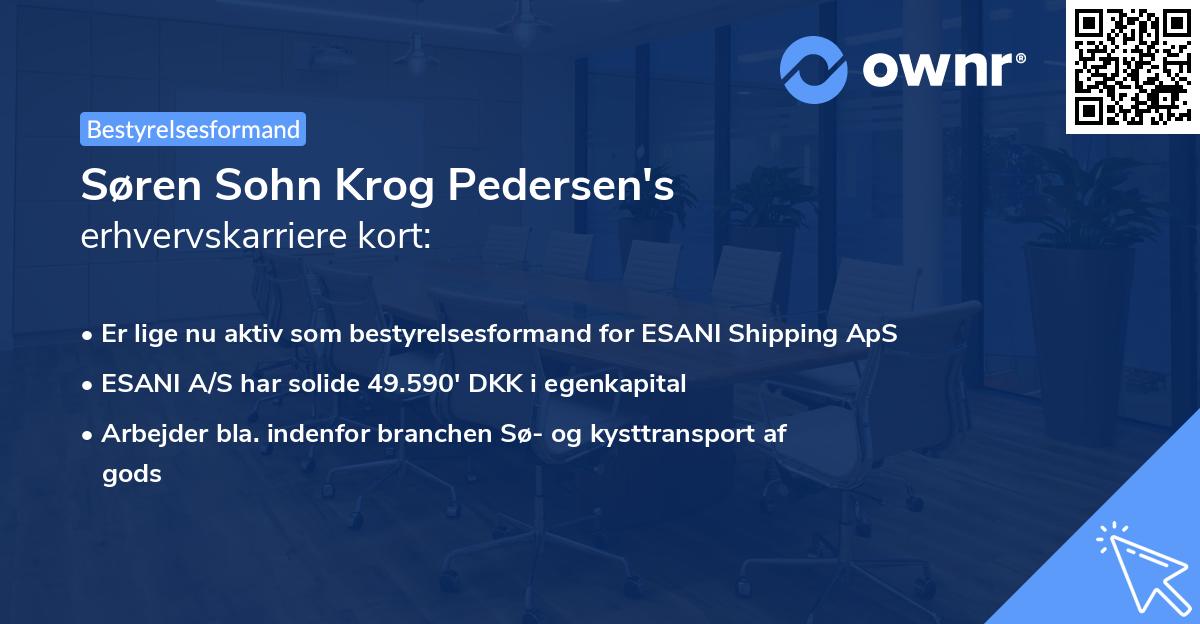 Søren Sohn Krog Pedersen's erhvervskarriere kort