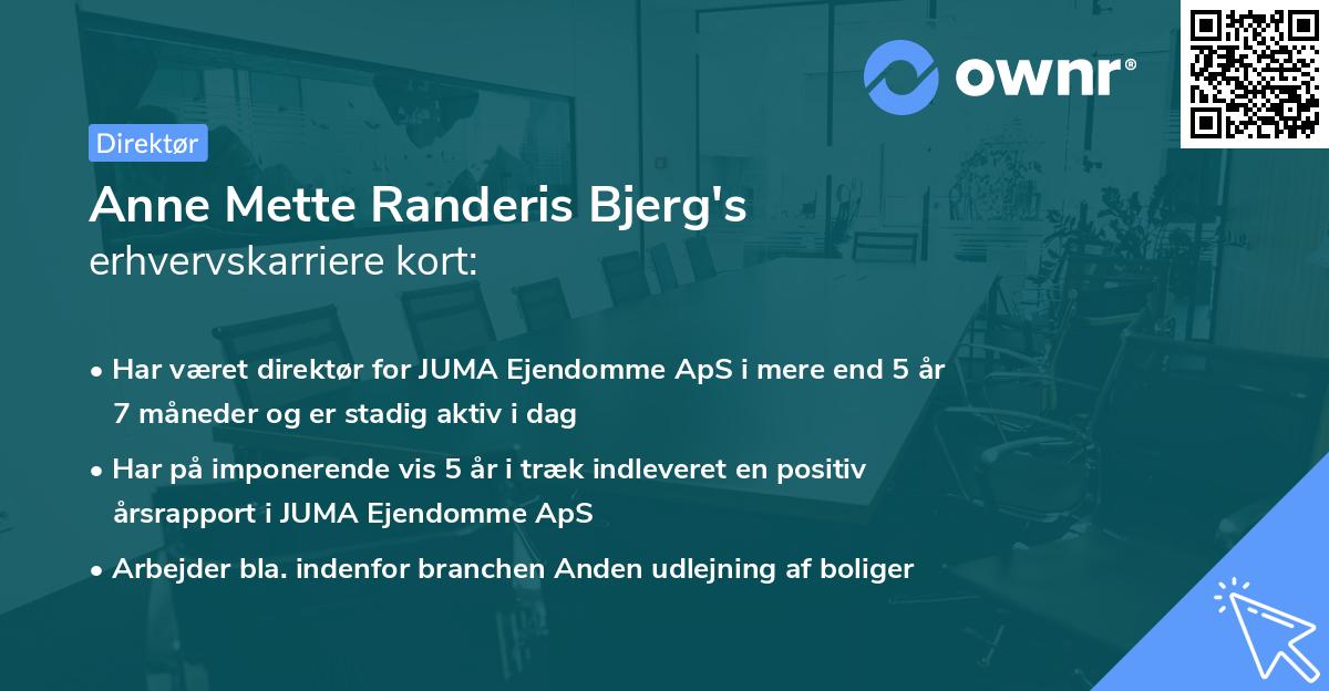 Anne Mette Randeris Bjerg's erhvervskarriere kort