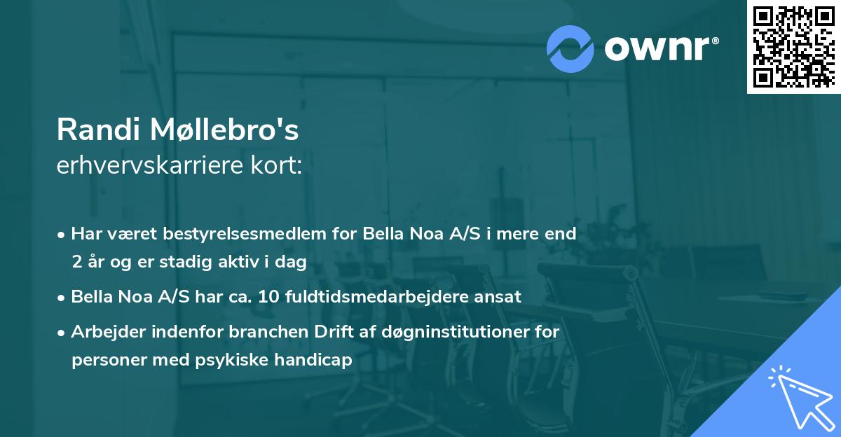 Randi Møllebro's erhvervskarriere kort