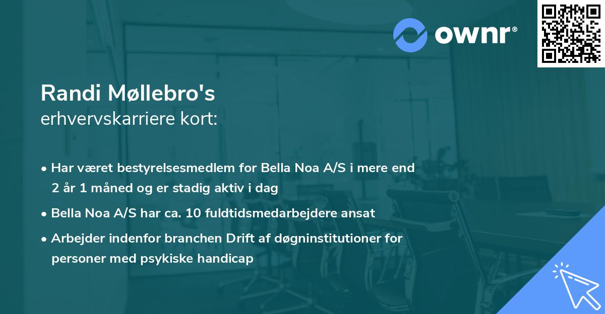 Randi Møllebro's erhvervskarriere kort