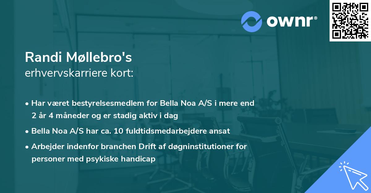 Randi Møllebro's erhvervskarriere kort