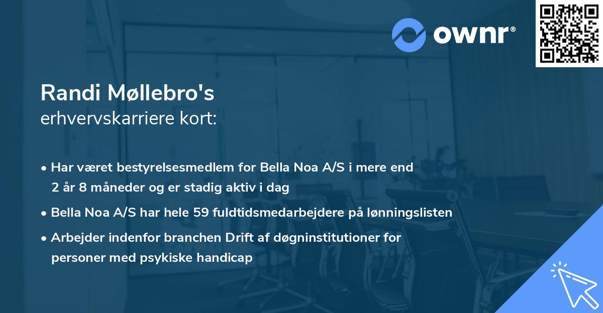 Randi Møllebro's erhvervskarriere kort