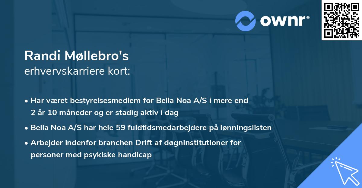 Randi Møllebro's erhvervskarriere kort