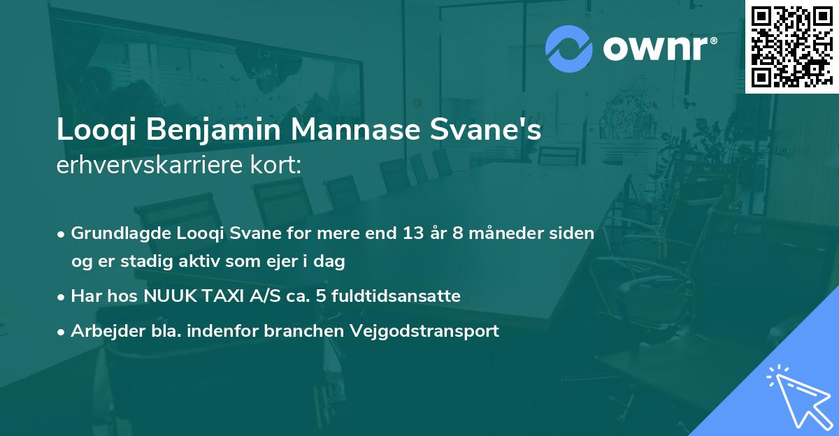 Looqi Benjamin Mannase Svane's erhvervskarriere kort