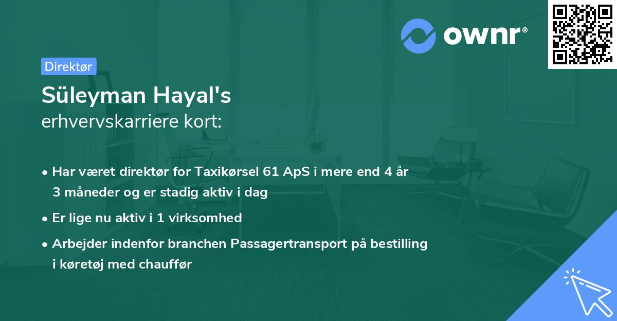 Süleyman Hayal's erhvervskarriere kort