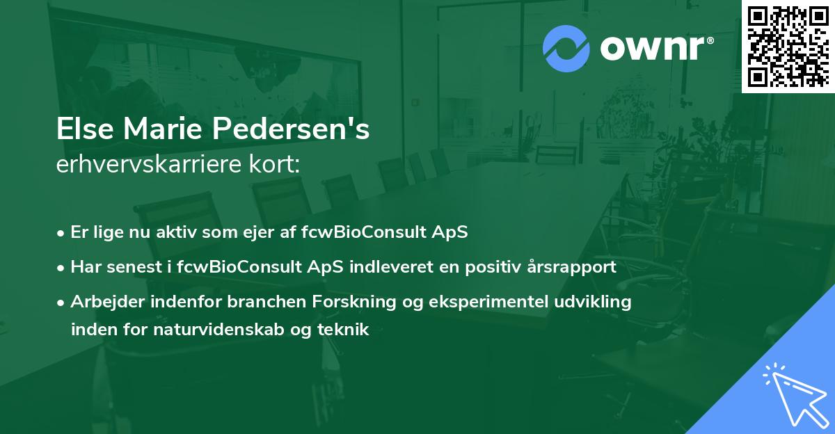 Else Marie Pedersen's erhvervskarriere kort