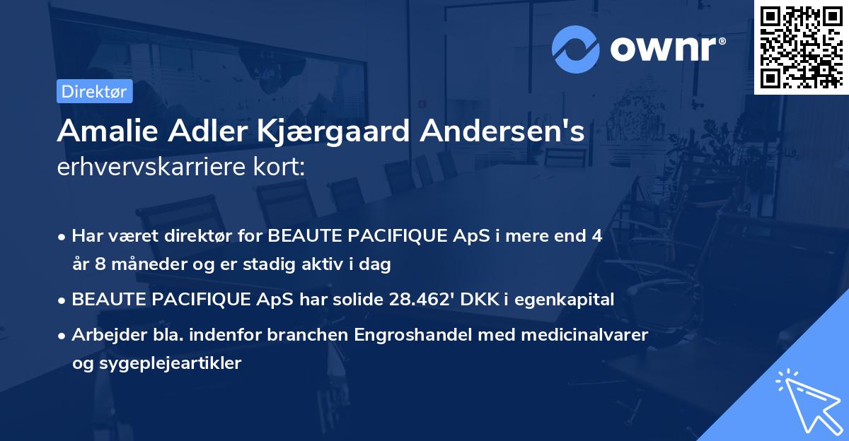 Amalie Adler Kjærgaard Andersen's erhvervskarriere kort