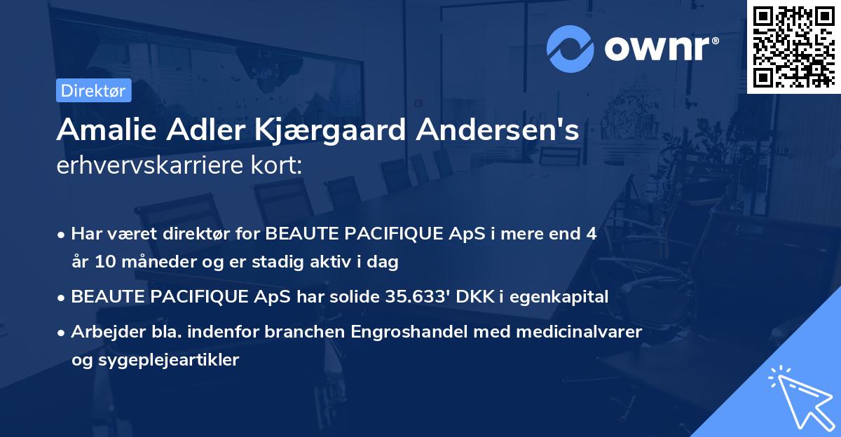 Amalie Adler Kjærgaard Andersen's erhvervskarriere kort