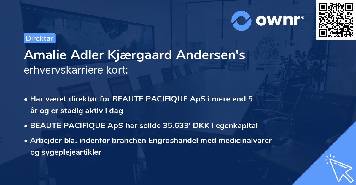 Amalie Adler Kjærgaard Andersen's erhvervskarriere kort