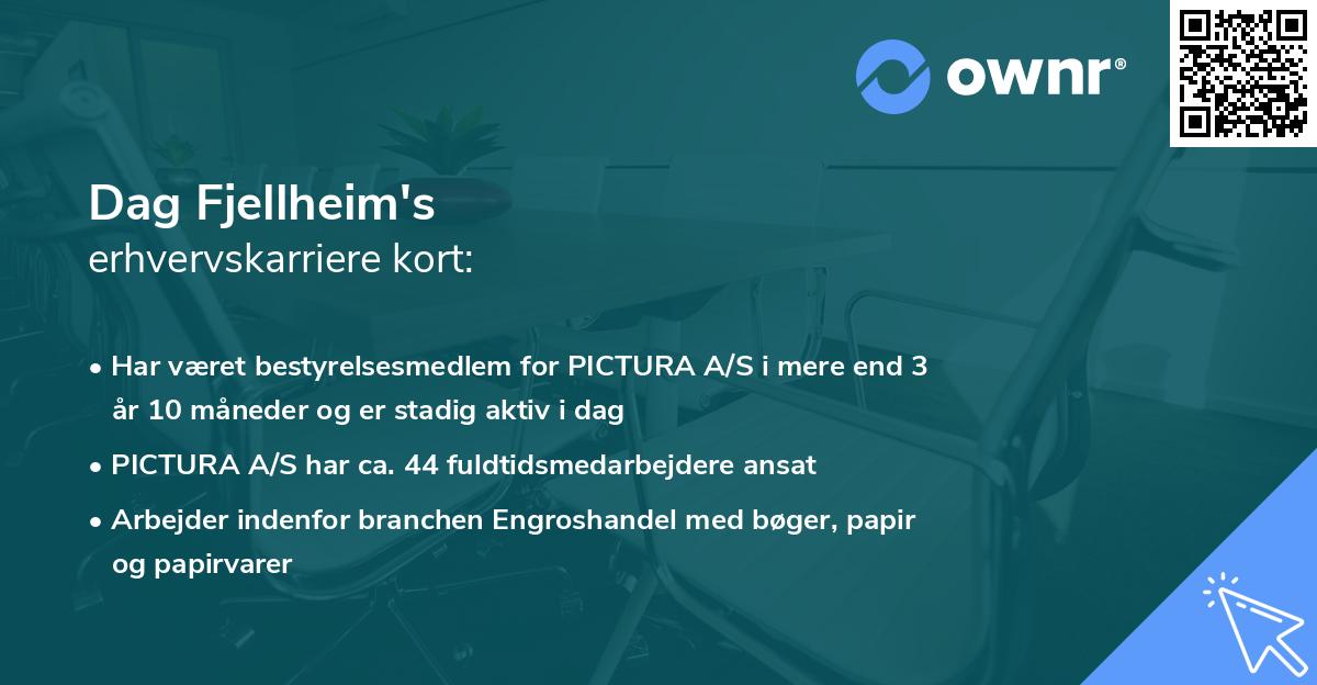 Dag Fjellheim's erhvervskarriere kort