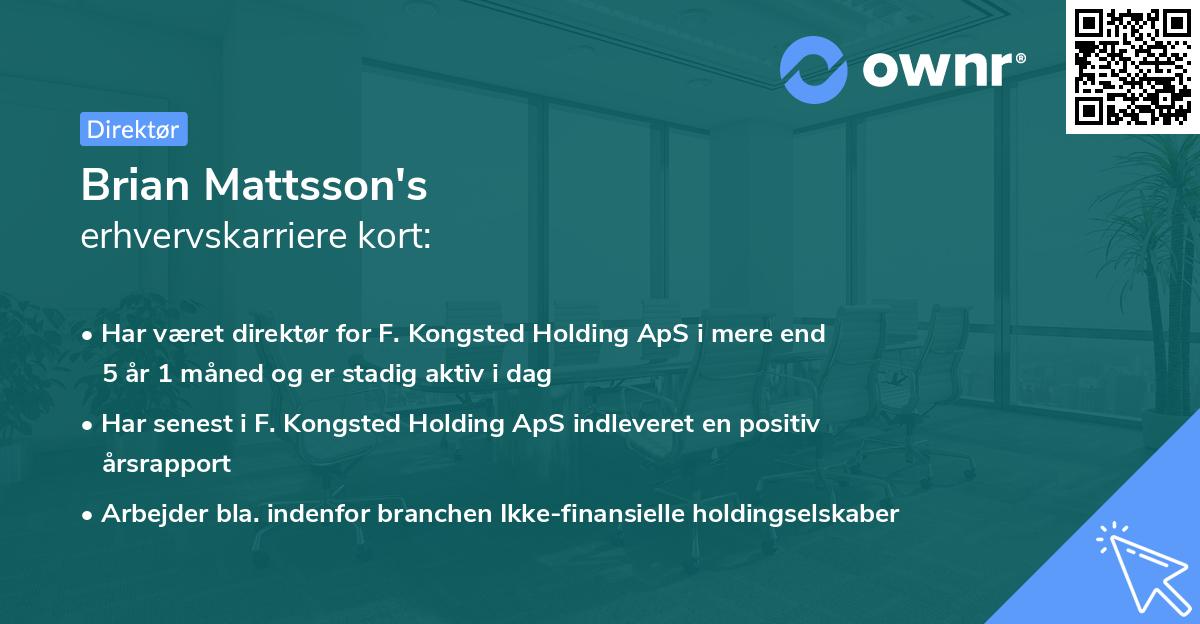 Brian Mattsson's erhvervskarriere kort