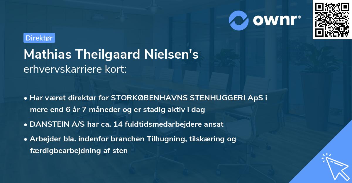 Mathias Theilgaard Nielsen's erhvervskarriere kort