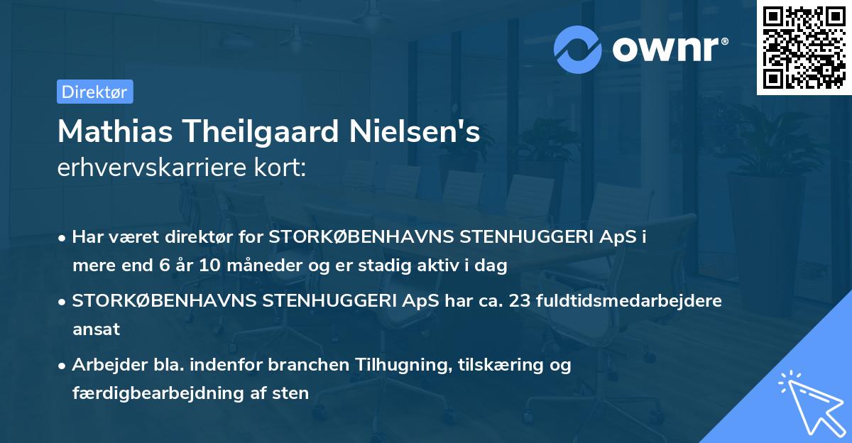 Mathias Theilgaard Nielsen's erhvervskarriere kort