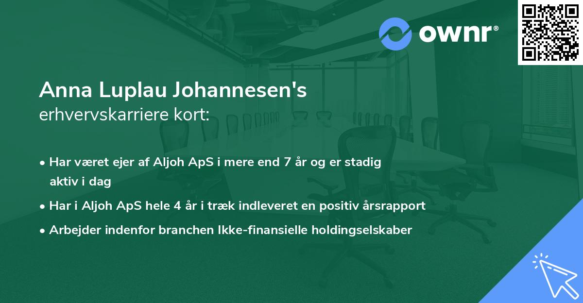 Anna Luplau Johannesen's erhvervskarriere kort