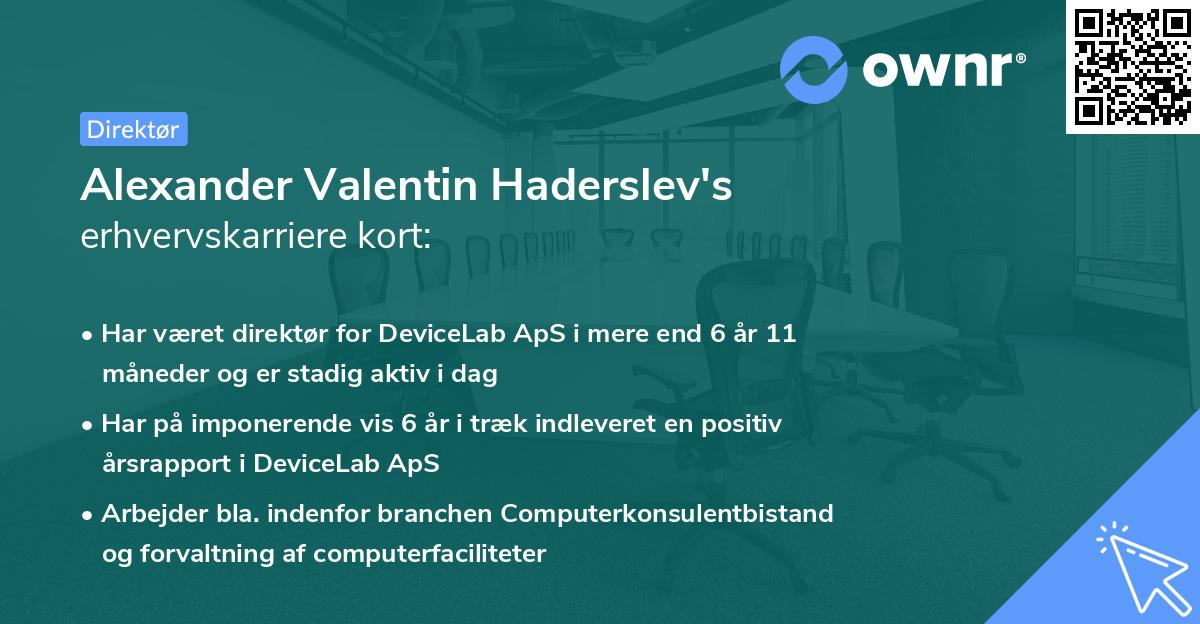 Alexander Valentin Haderslev's erhvervskarriere kort