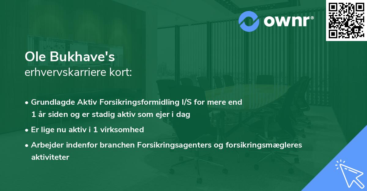 Ole Bukhave's erhvervskarriere kort