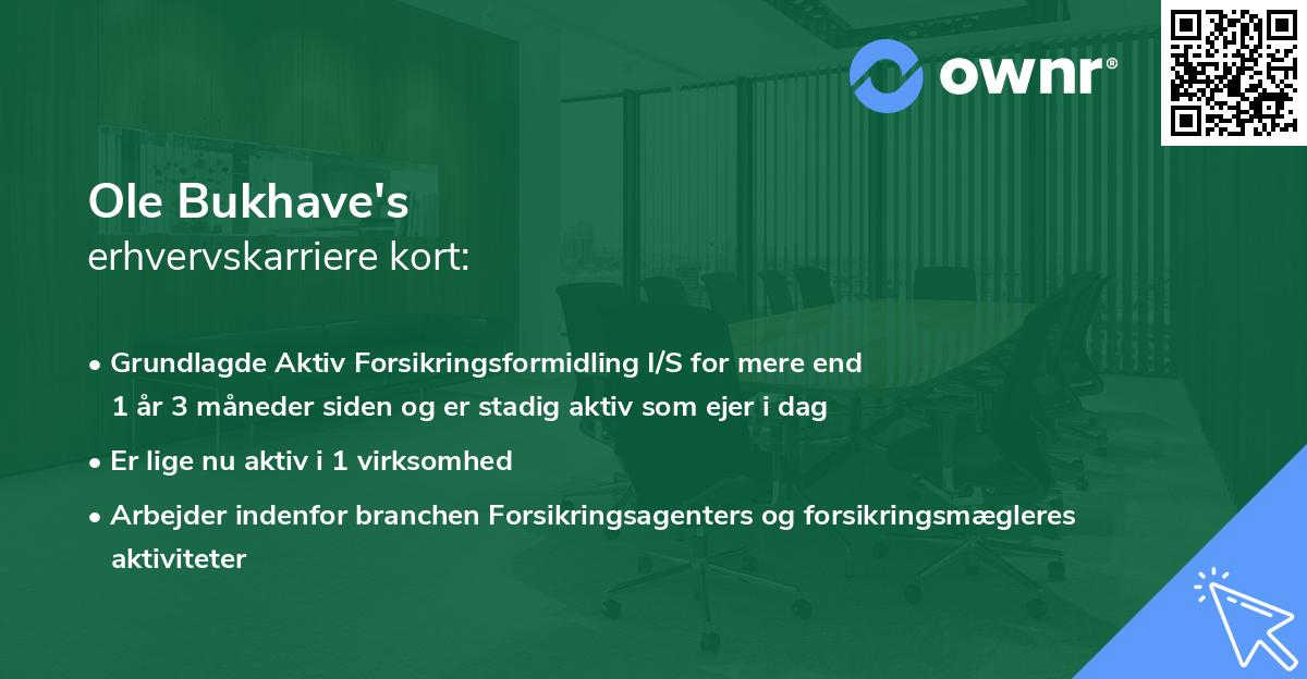 Ole Bukhave's erhvervskarriere kort