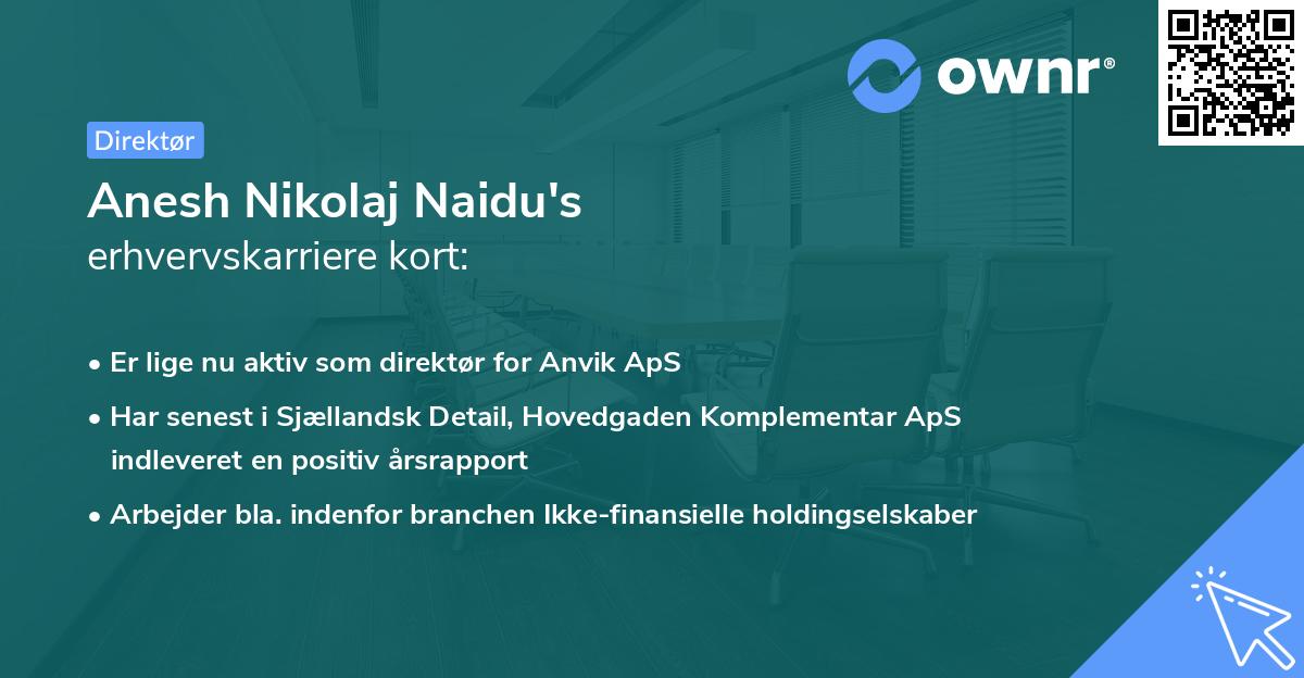 Anesh Nikolaj Naidu's erhvervskarriere kort