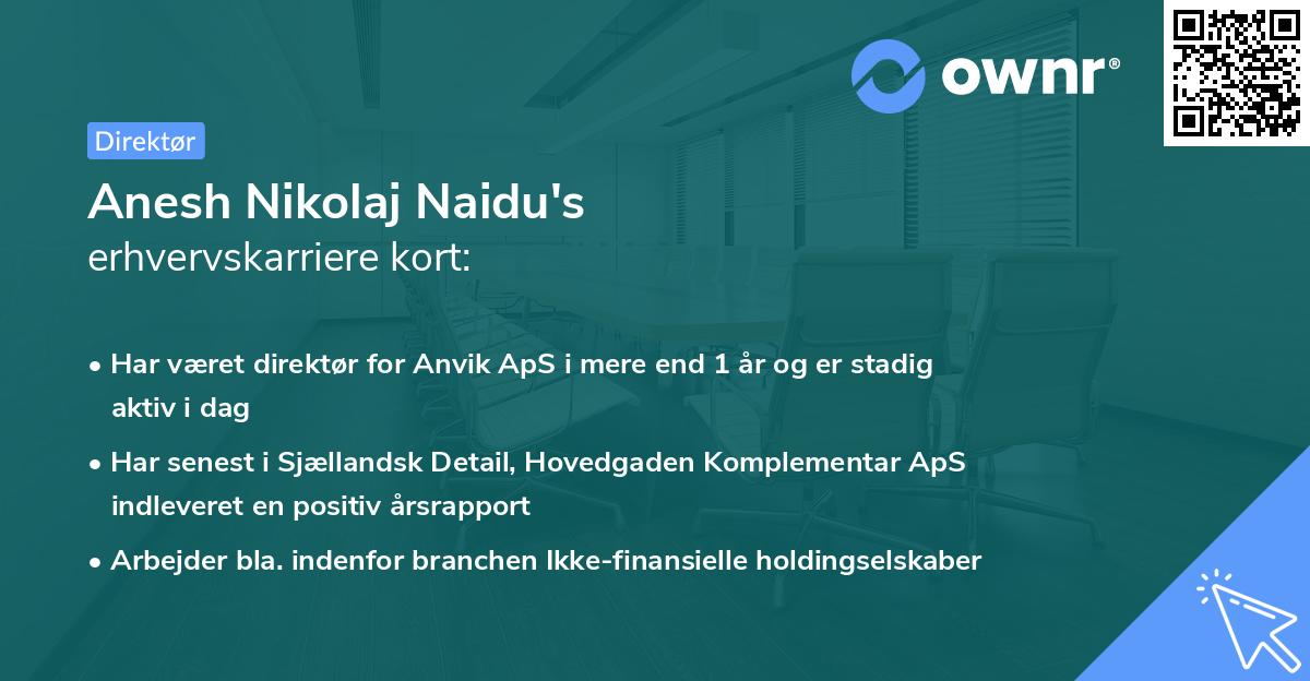 Anesh Nikolaj Naidu's erhvervskarriere kort